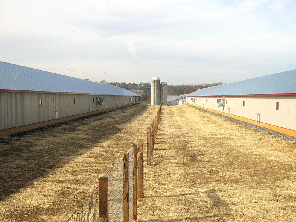 Poultry houses